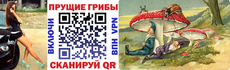 Галлюциногенные грибы Psilocybe  наркотики  Горняк 